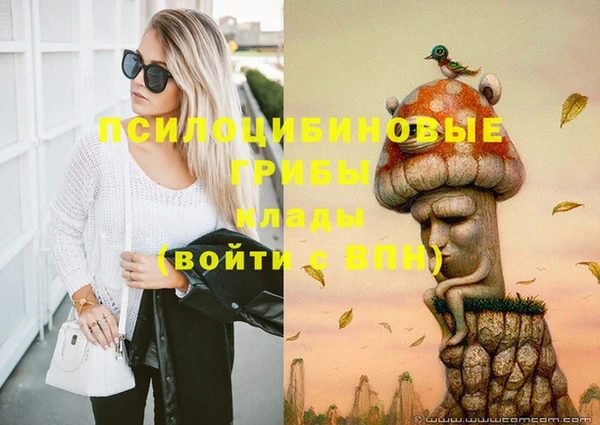 ГАЛЛЮЦИНОГЕННЫЕ ГРИБЫ Алексеевка