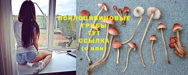 ГАЛЛЮЦИНОГЕННЫЕ ГРИБЫ Алексеевка