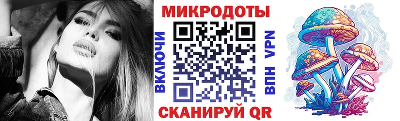 Псилоцибиновые грибы Cubensis  Цивильск 